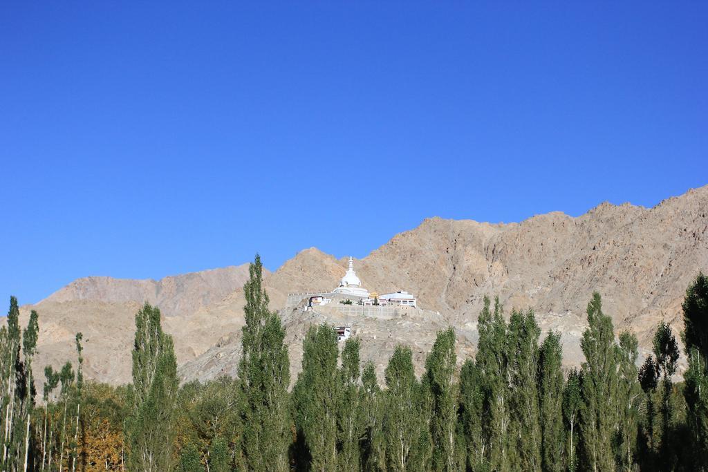 Hotel Nalanda Ladakh Leh Zewnętrze zdjęcie