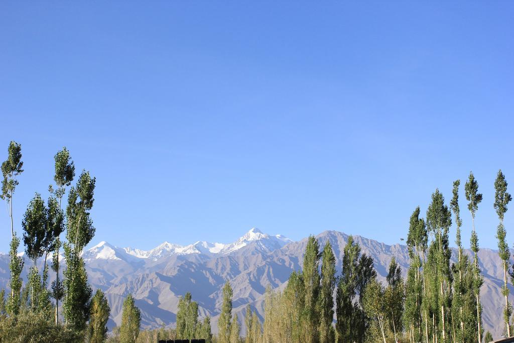 Hotel Nalanda Ladakh Leh Zewnętrze zdjęcie